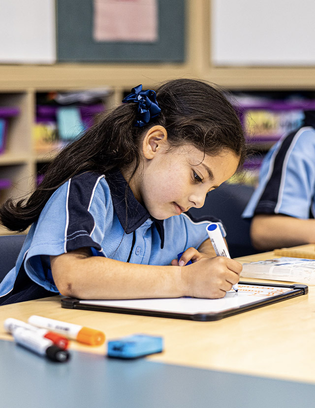 Student on whiteboard at St Madeleine's Catholic Primary School Kenthurst