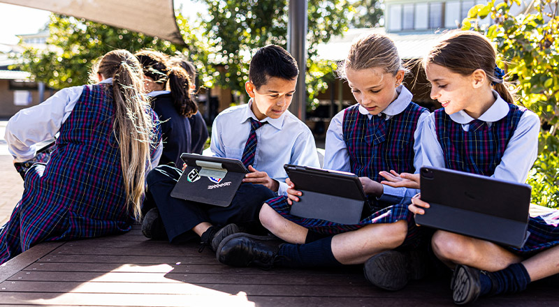 School Life