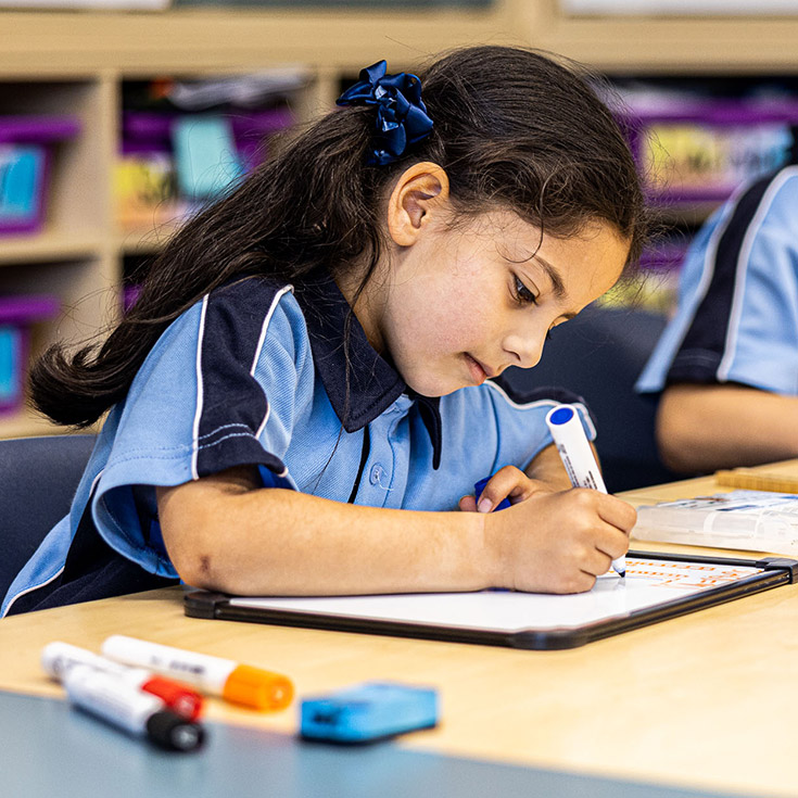 Student on whiteboard at St Madeleine's Catholic Primary School Kenthurst