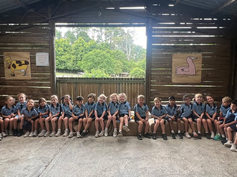 988068295934501_1642213060520018-1