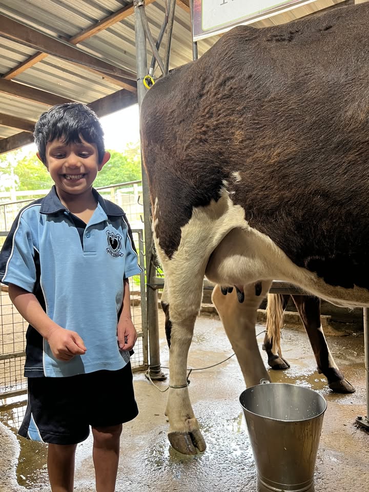 988068295934501_1642215837186407-1