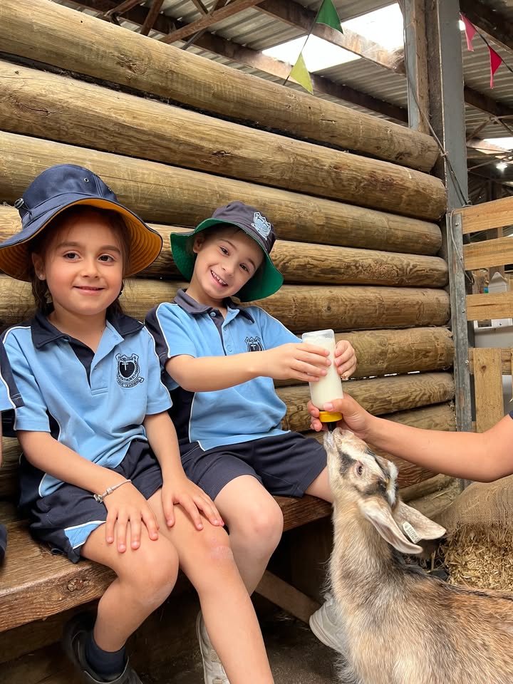 988068295934501_1642219103852747-1