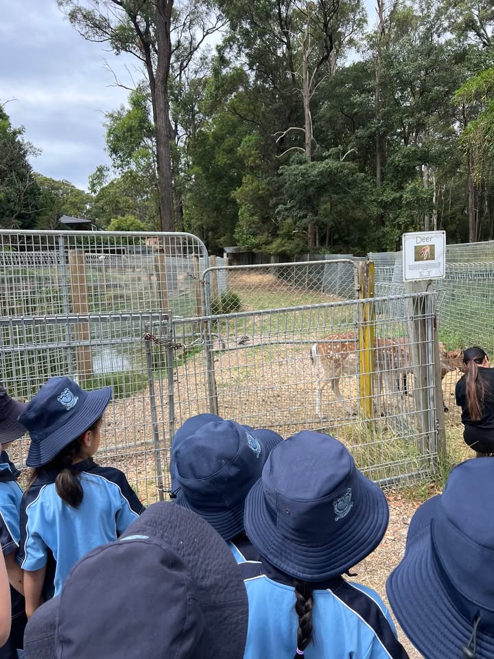 988068295934501_1642169640524360-1