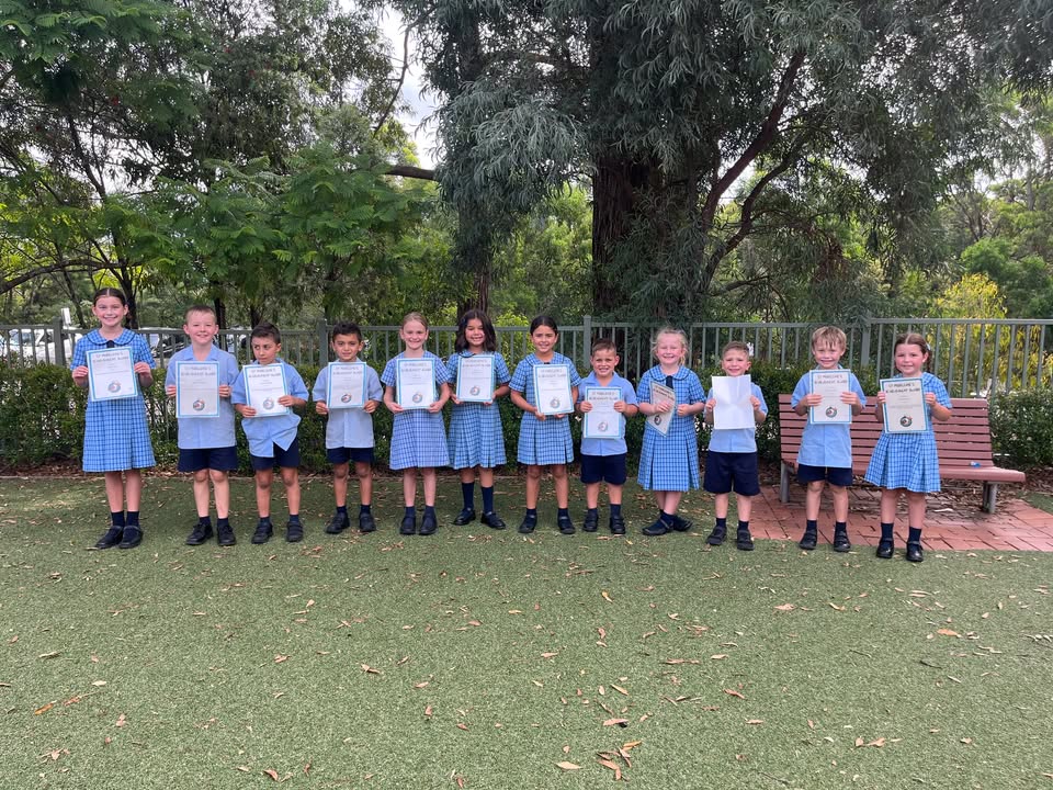 988068295934501_1717731409634849-1