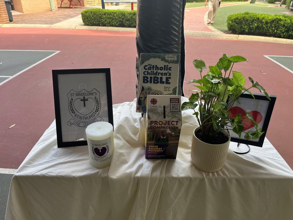 988068295934501_1718289829579007-1