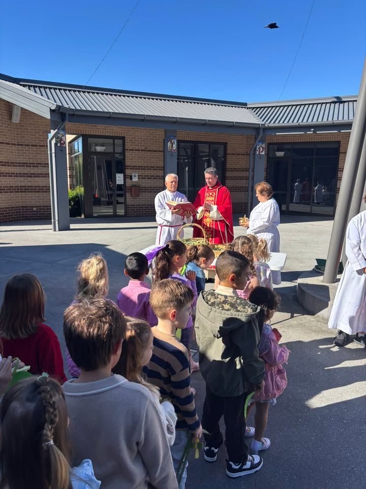 988068295934501_1738022200939103-1